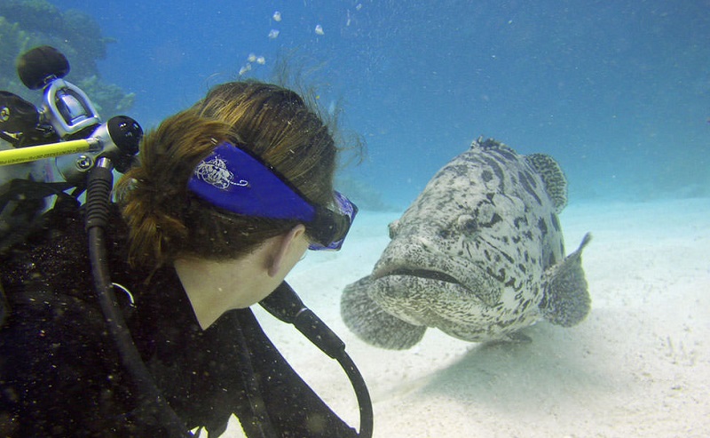 پلاژ اختصاصی برای بانوان