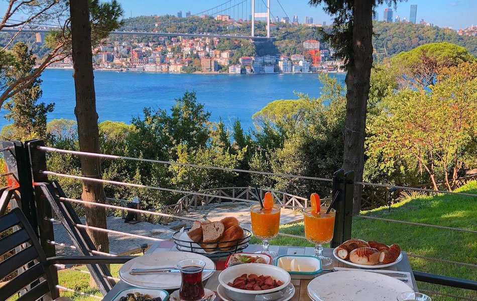 بیشه زار مهرآباد استانبول