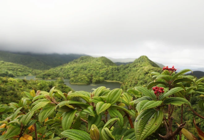 پارک ملی مورن دیابلوتین (Morne Diablotins National Park)