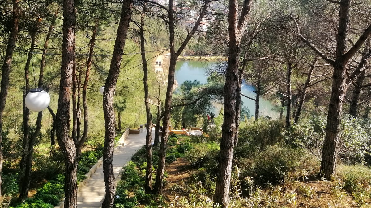 بیشه زار مهرآباد استانبول