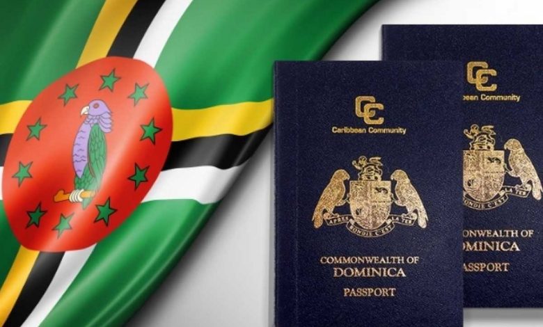 راه های مهاجرت به دومینیکا