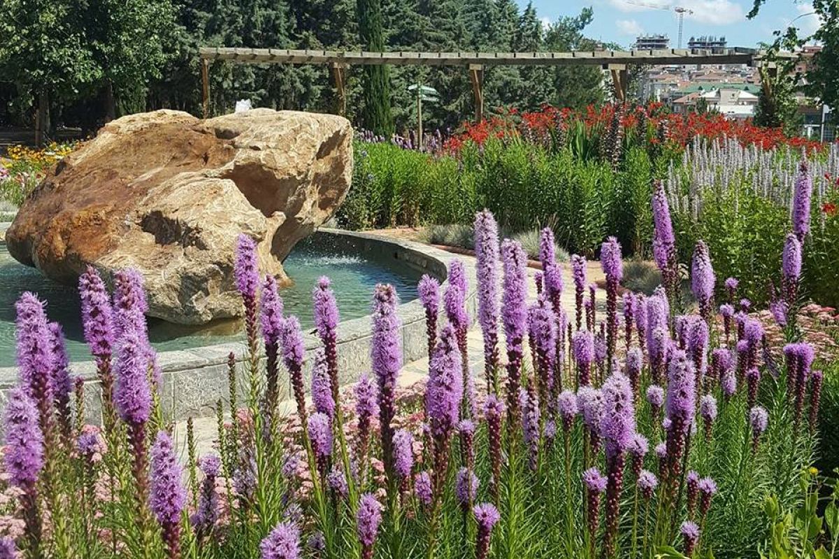 پارک گیاه شناسی نزاهات گوکییغیت