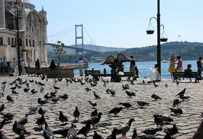 نوبت به منطقه اورتاکوی می رسد