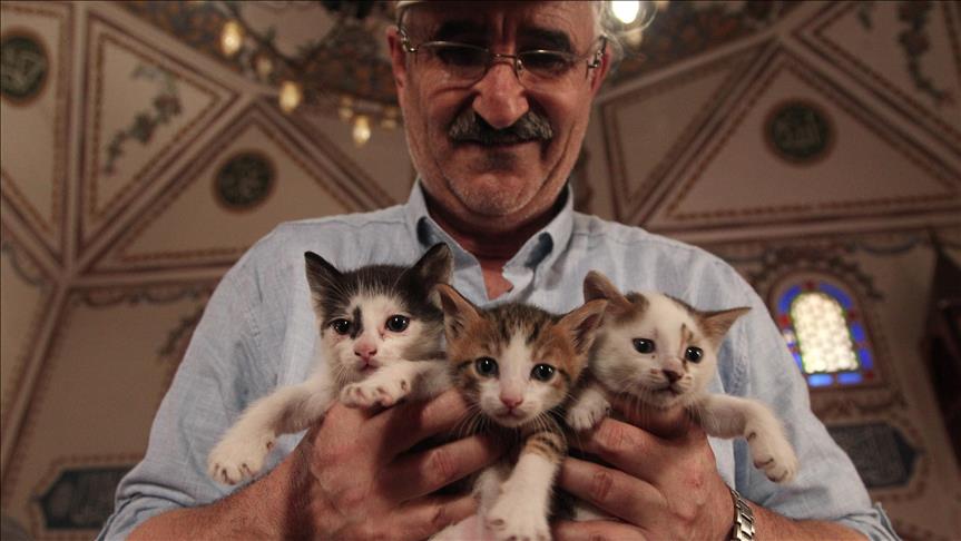 مسجد عزیز محمد استانبول