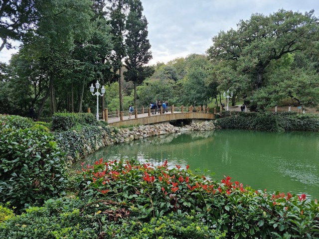 پارک ییلدیز استانبول