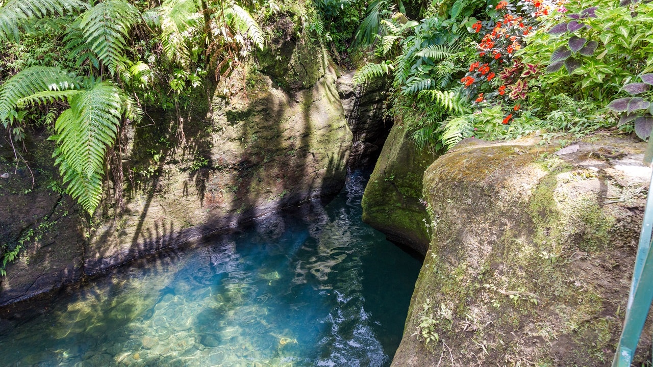 تنگه تیتو دومینیکا