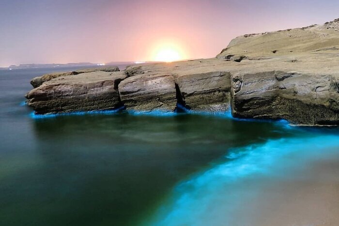 شب های جادویی در ساحل نقره ای قشم