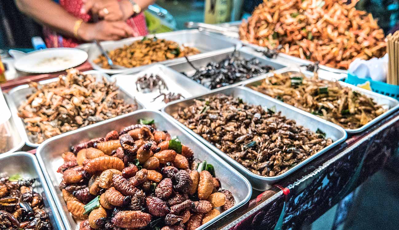 عجیب ترین غذاهای دنیا؛ سفری که شاید جرات آن را نداشته باشید!