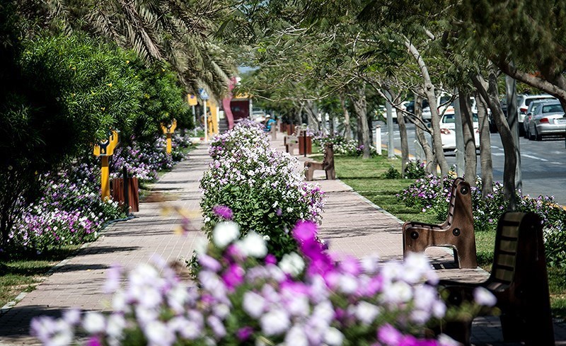 فصل بهار؛ به طراوت گل‌های بهاری