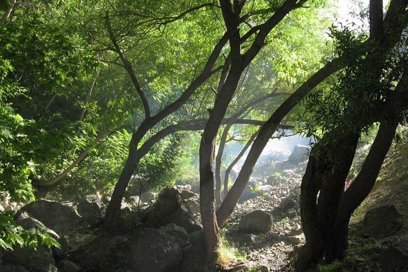 پارک گلابدره در نزدیکی خیابان دربند تهران