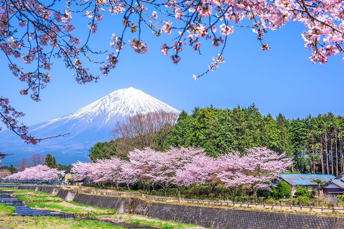 بهترین پارک ‌های ملی  توکیو