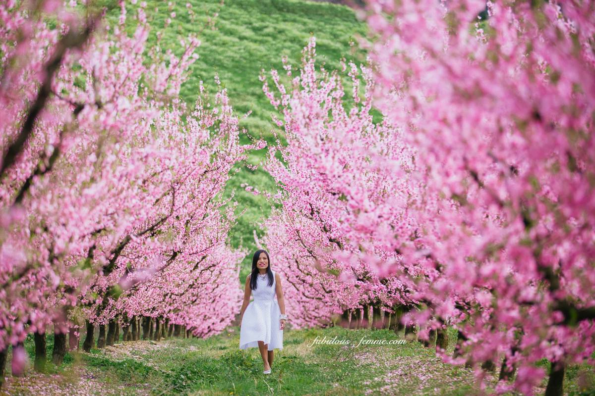 سفر به ملبورن  