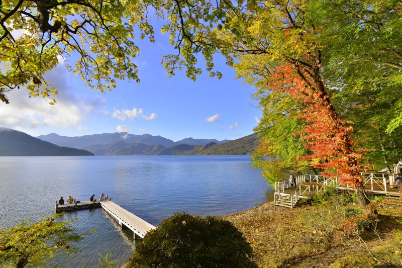 بهترین پارک ‌های ملی  توکیو