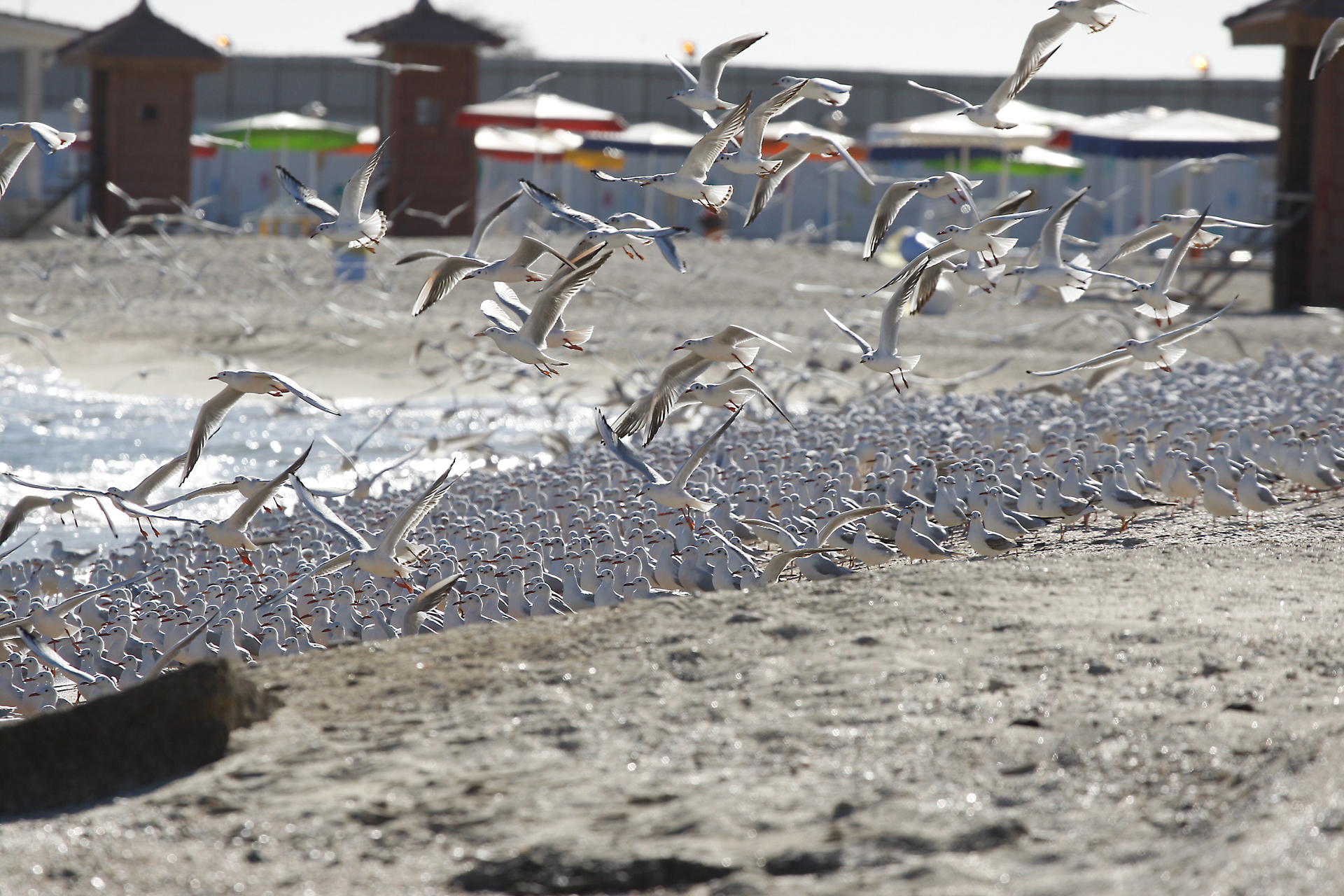 آدرس و ساعت کاری