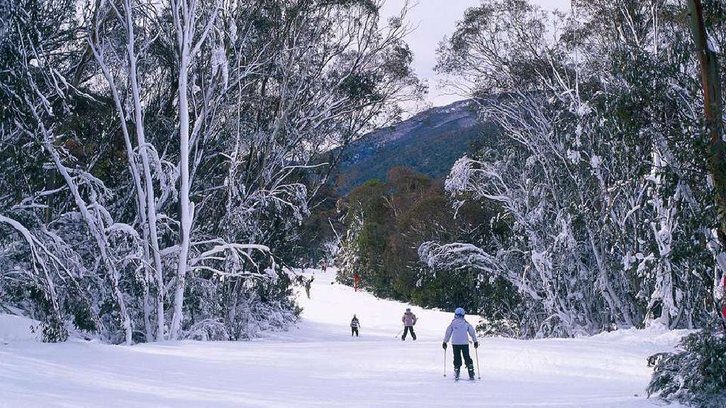 بهترین زمان سفر به سیدنی