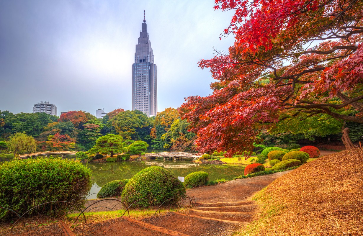 shinjuku gyoen national garden