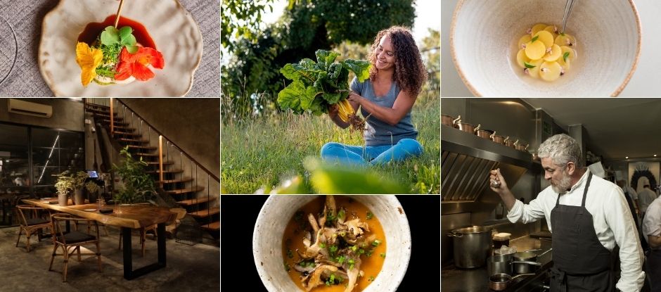 رستوران های گیاهی در وین؛ یک طعم به یادماندنی