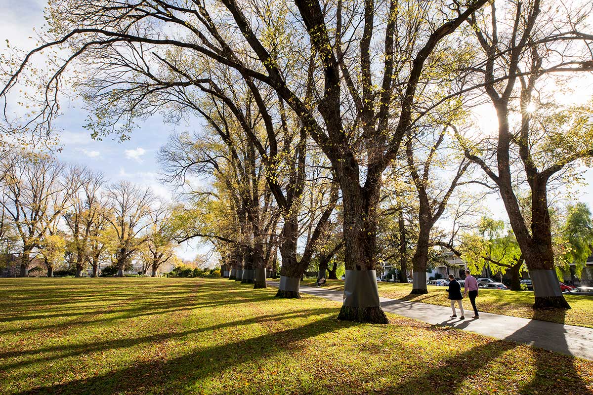 سفر به ملبورن در پاییز