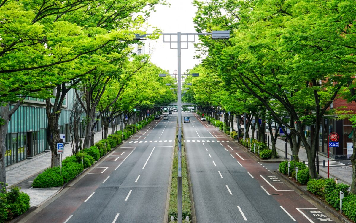 چرا باید به ژاپن سفر کنیم؟