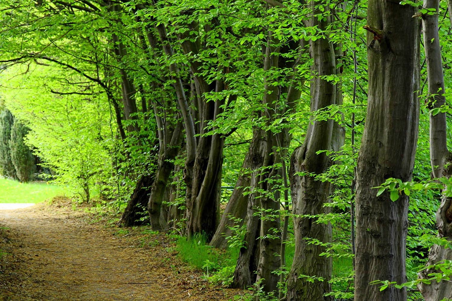 جاهای دیدنی تهران با مترو