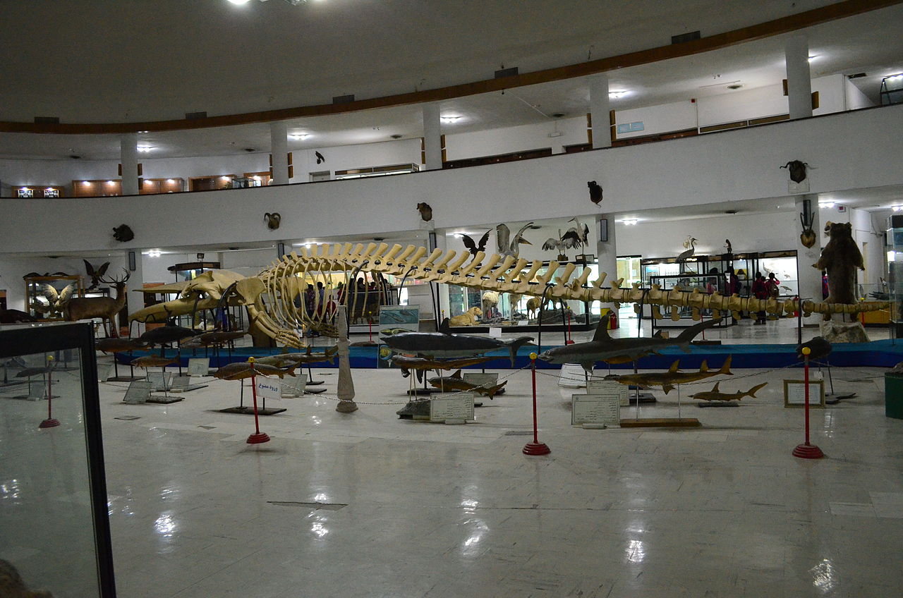 قیمت جاهای دیدنی شیراز