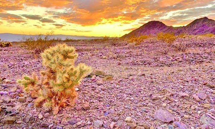 گرم ترین نقطه جهان