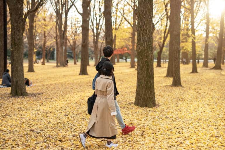 سفر به ژاپن در پاییز