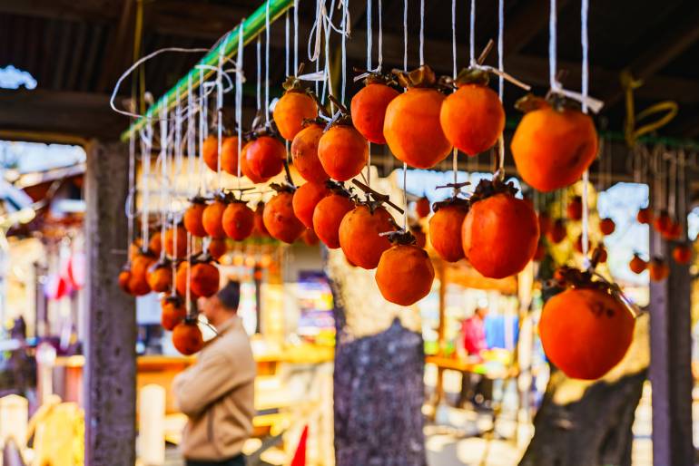 سفر به ژاپن در پاییز