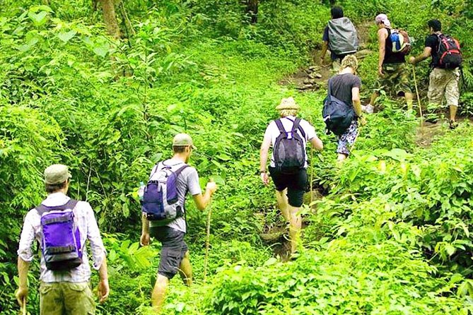 سافاری بالی