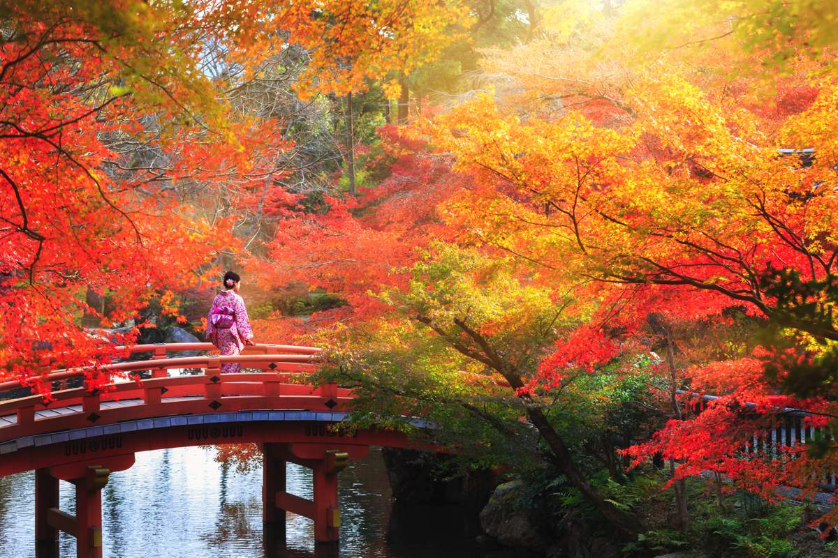 ماه‌ عسل پاییزی در ژاپن