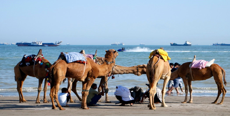 بندرعباس از بهترین شهرهای ایران برای سفر در زمستان
