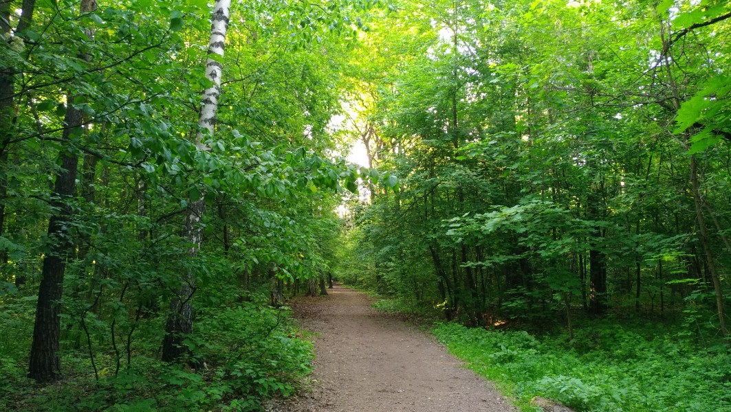  سفر به مسکو در پاییز