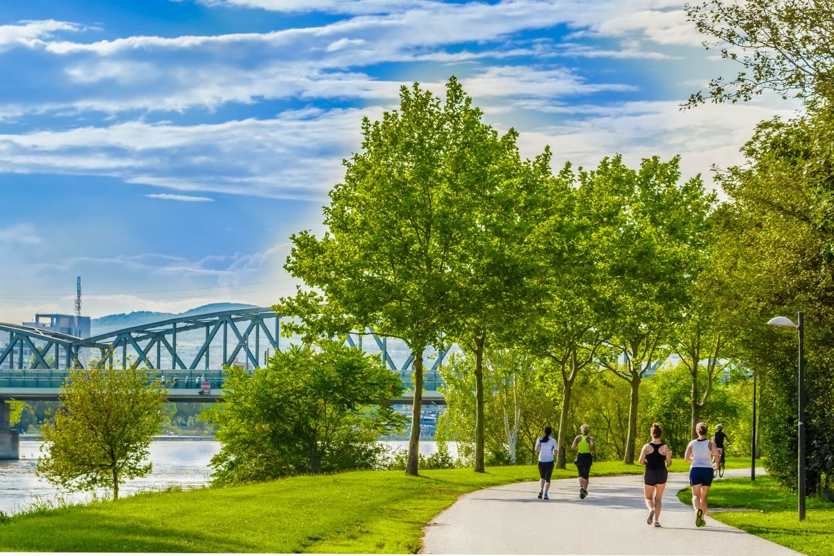 سفر به وین در تابستان