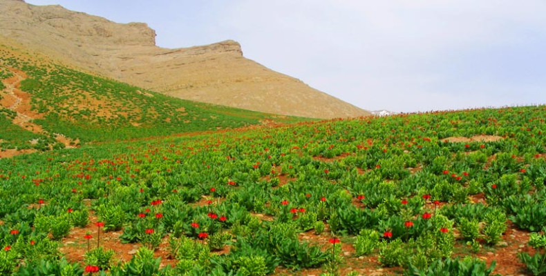 بهار در ایران کجا بریم، ایذه