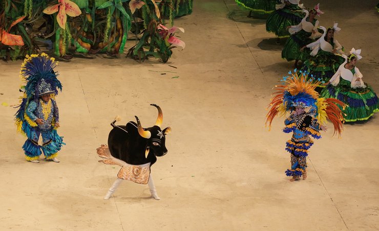 فستیوال های برزیل