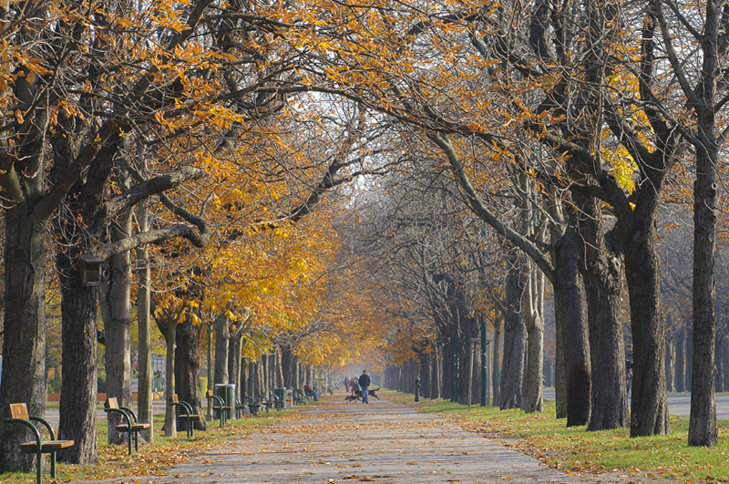 بهترین زمان سفر به وین