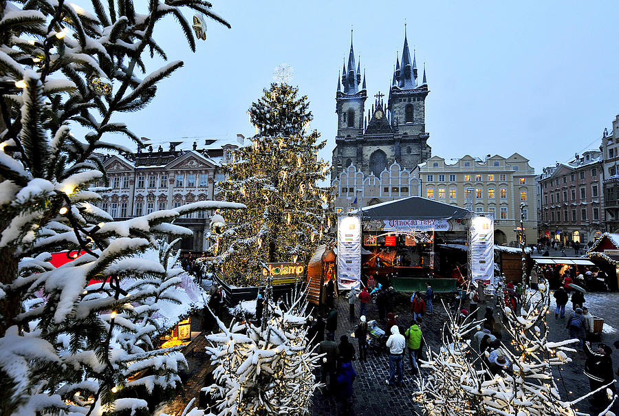 بازار در میدان تیلو