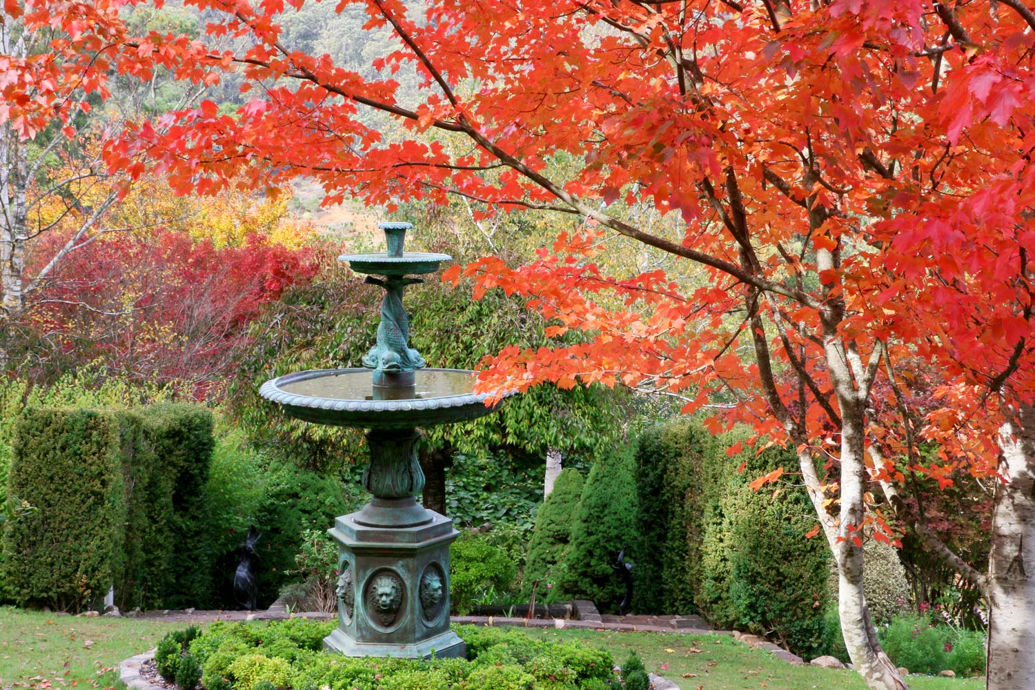 سفر به ملبورن در پاییز