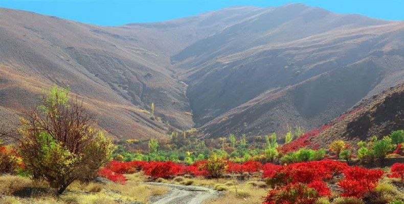 بهار در ایران کجا بریم، گناباد
