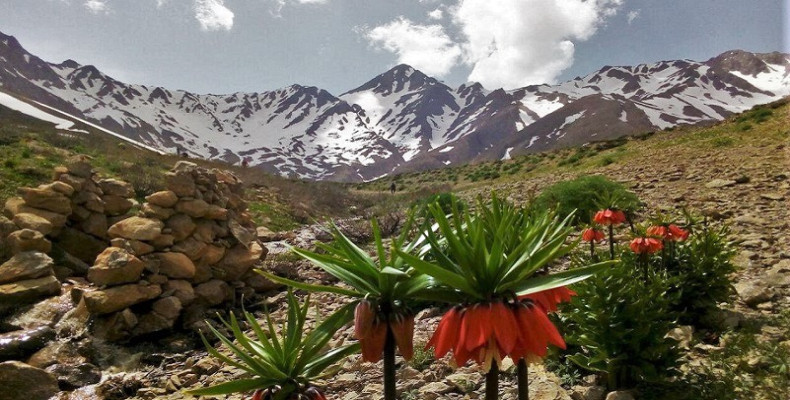 شاهان‌کوه اصفهان؛ بام مرتفع زاگرس مرکزی