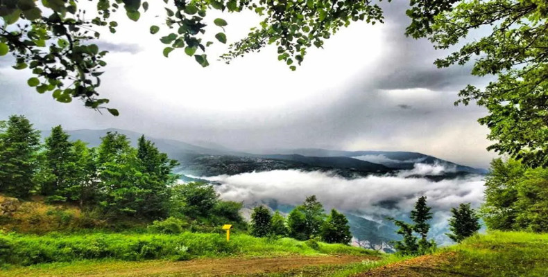 جنگل ابر شاهرود؛ راه رفتن روی ابرها