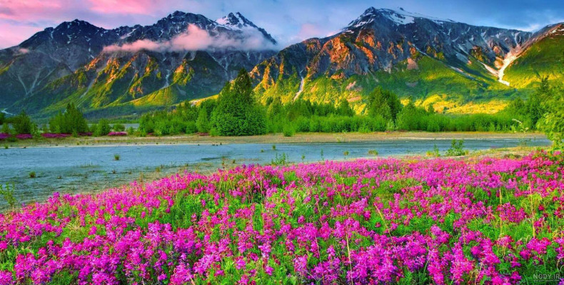 بهار در ایران کجا بریم؟ 27 جاذبه بکر و خاص