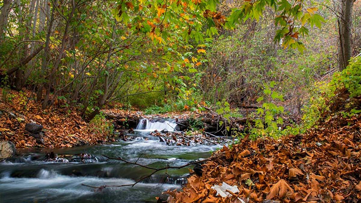 طرقبه زیبا؛ لذت گردش در طبیعت مشهد