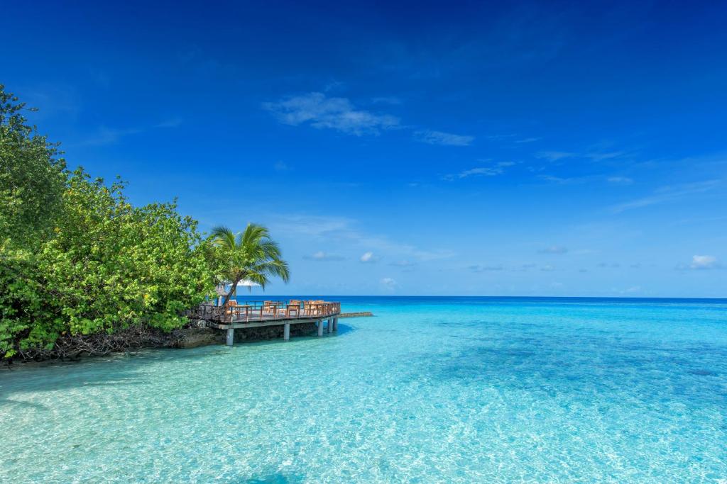 جزیره اومادهو؛ تجربه ماهی‌گیری در جزایر مالدیو