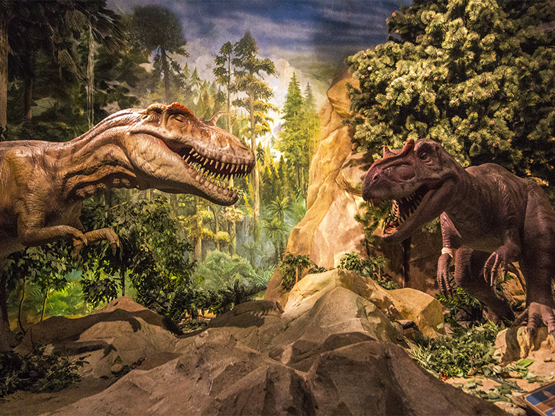 تم پارک سنتر کیش