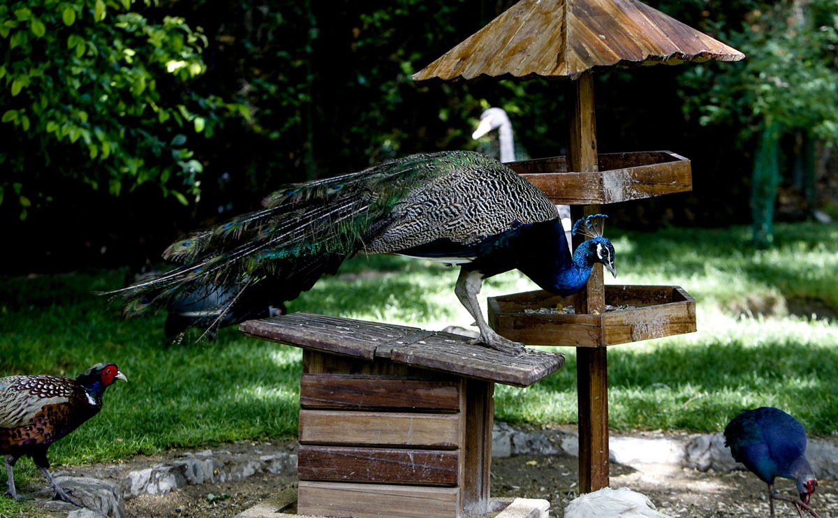 قیمت جاهای دیدنی مشهد در سال 1403