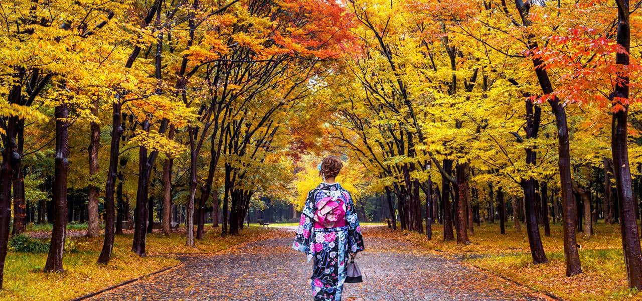 سفر به ژاپن در پاییز؛ فوجی در میان خزان!