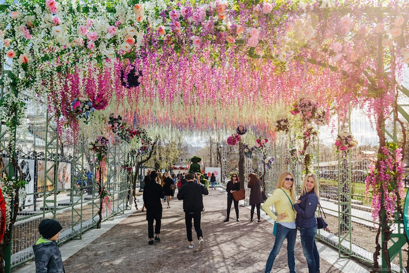 سفر به مسکو در بهار؛ سفری شگفتانگیز به سرزمین شکوفههای گیلاس