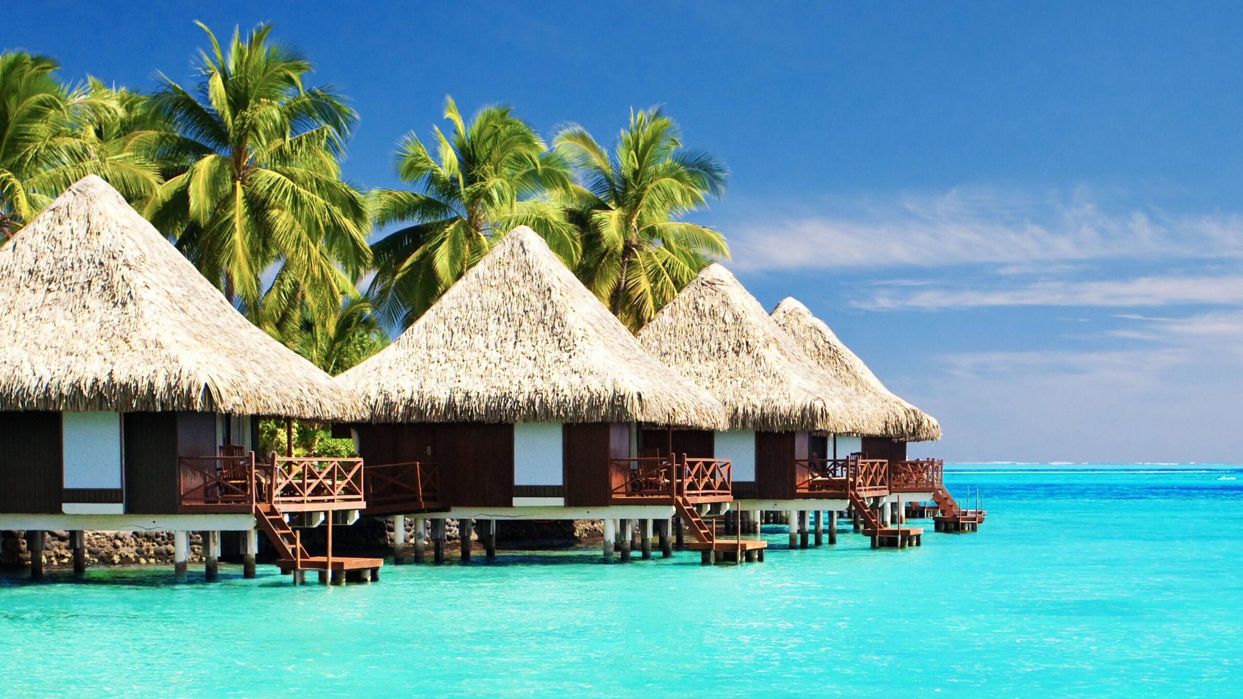 کارهای ممنوعه در مالدیو