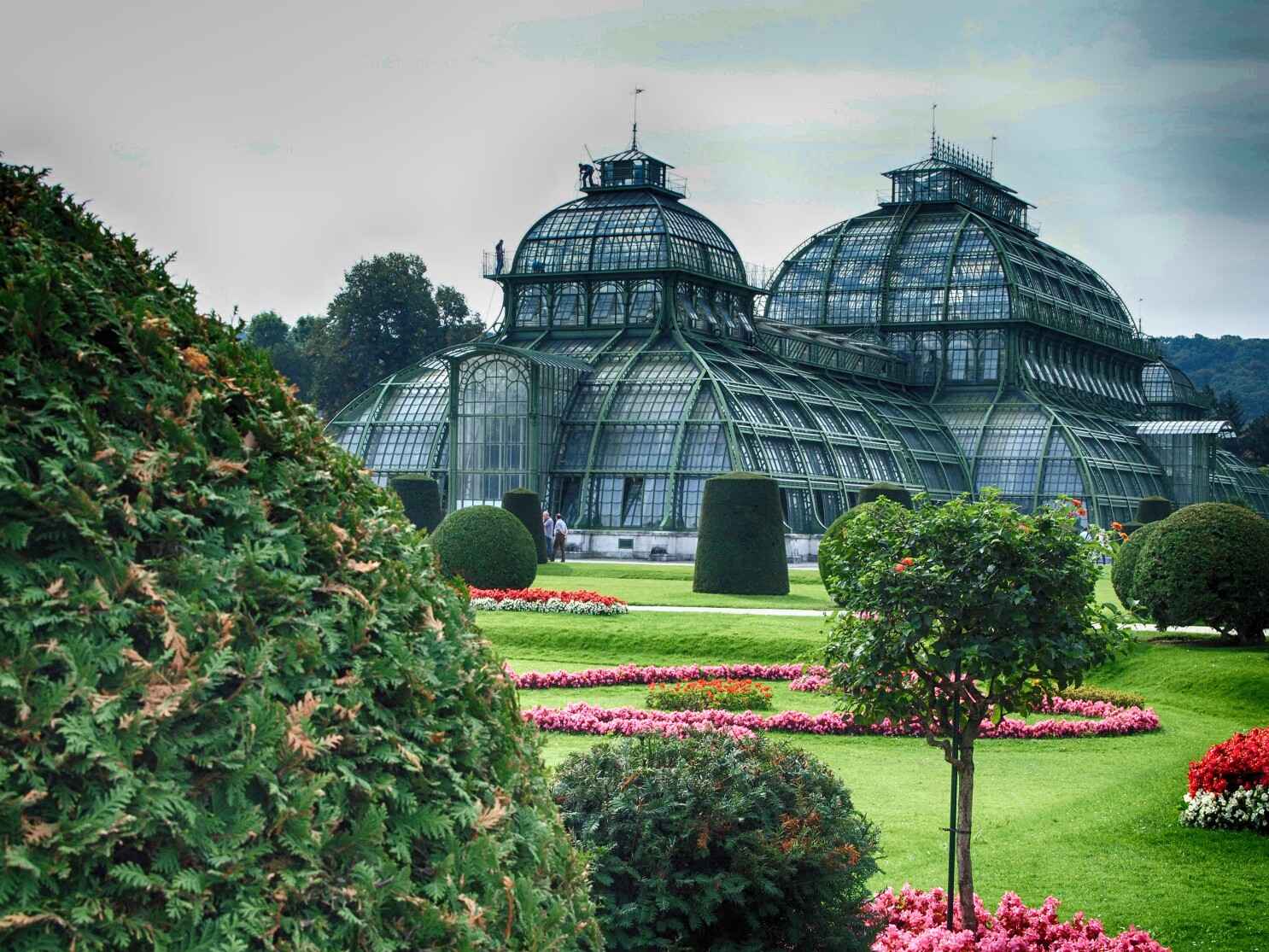 باغ وحش کاخ شون برون وین